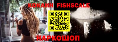 a pvp Камышлов