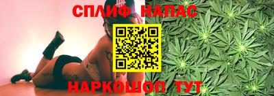 a pvp Камышлов