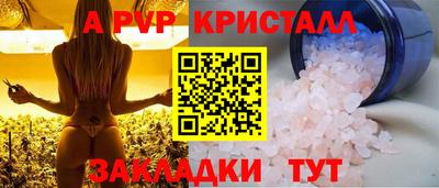 a pvp Камышлов