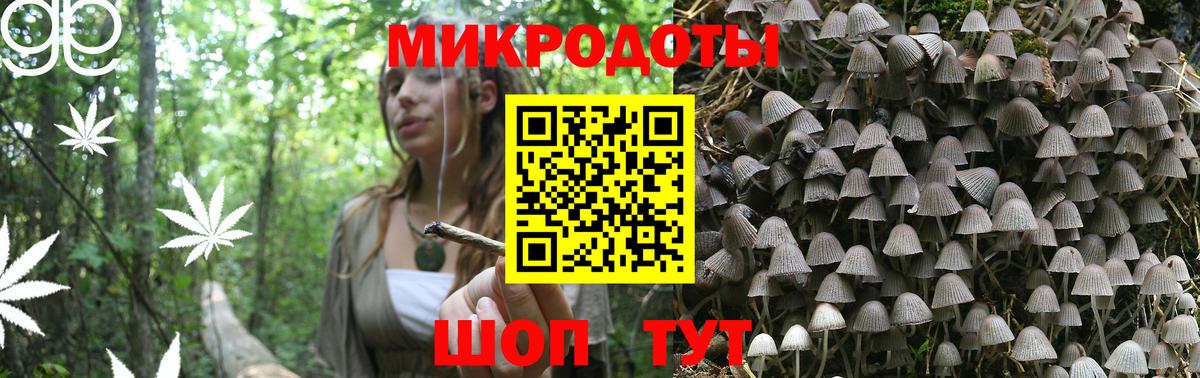 Галлюциногенные грибы Magic Shrooms Корсаков