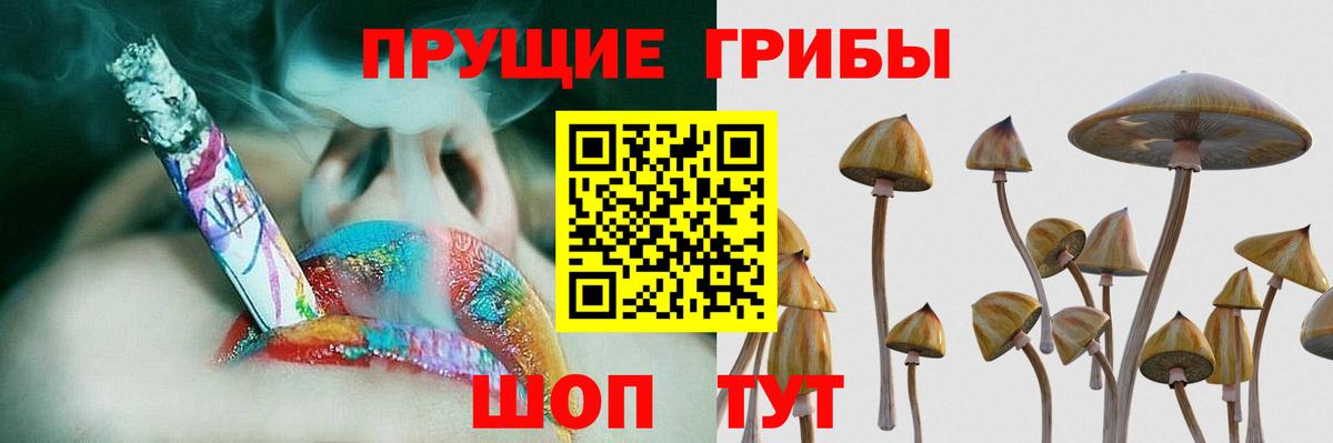 Корсаков  Галлюциногенные грибы ЛСД  Вход с VPN 